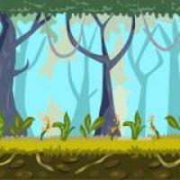 Explore the Enchanted Woods and Unravel Nature s Mysteries Together